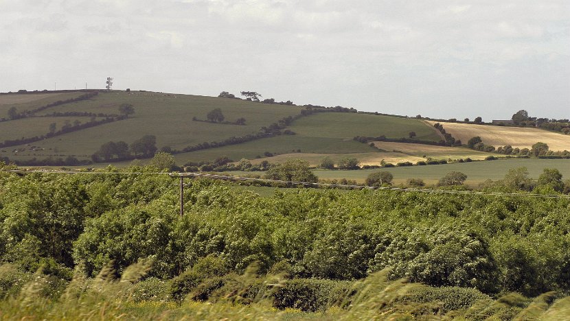 Fields 2006-06-11@0526-40